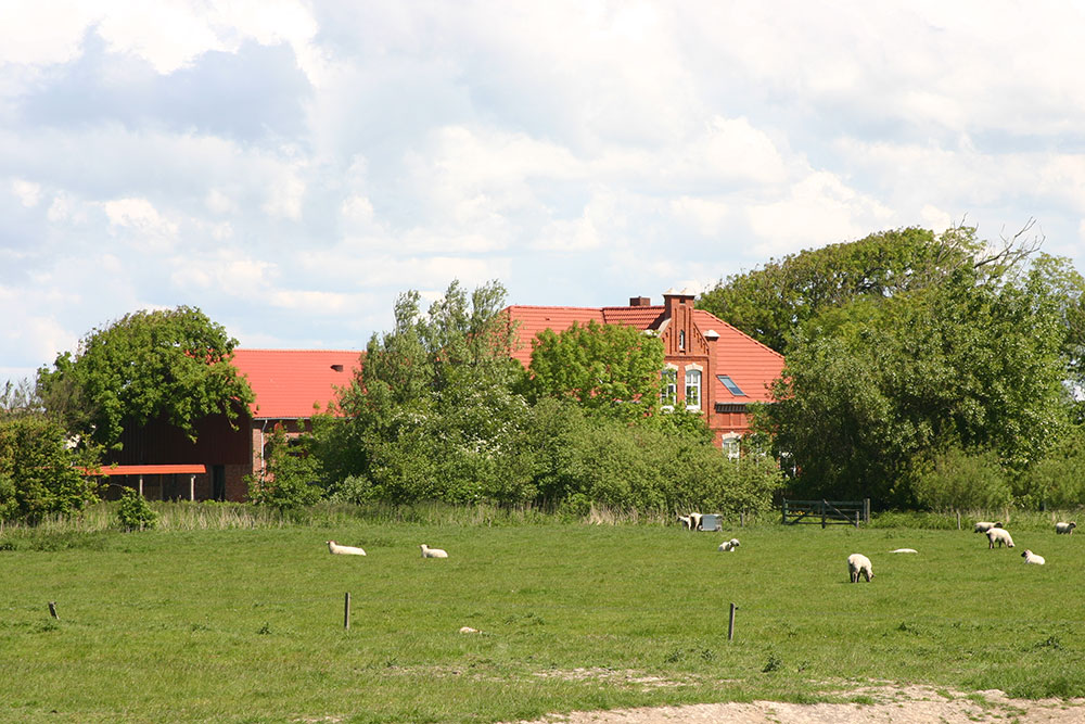 ferienhof-nordseeinsel-pellworm